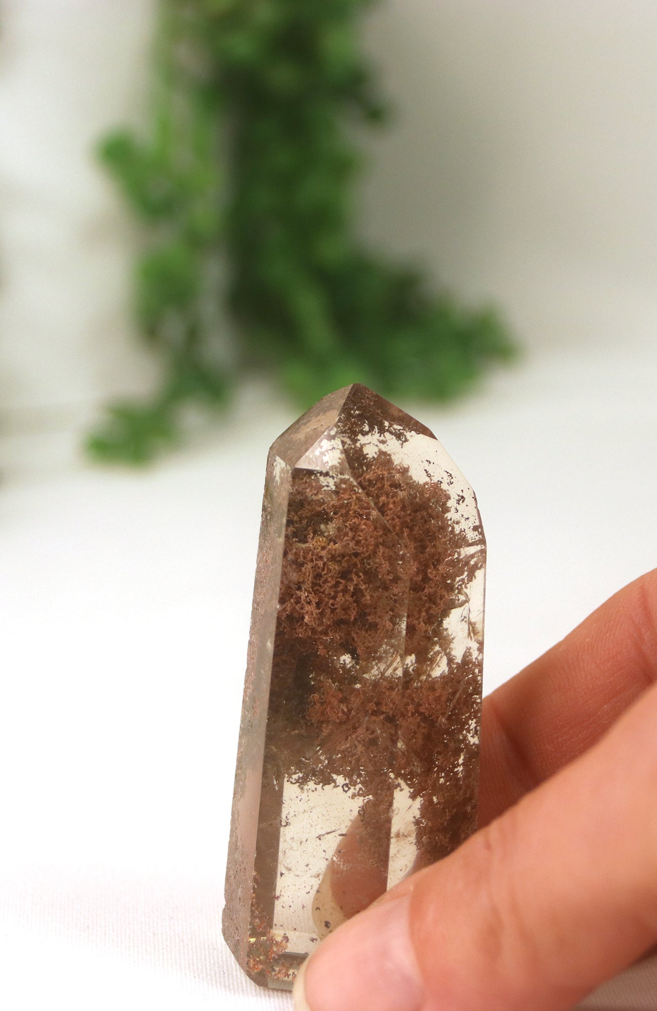 Lodalite Quartz Freeform Generator
